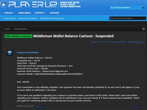 playerup.com|playerup scam.